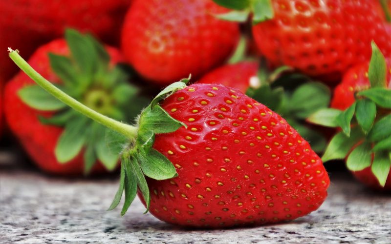 Erdbeeren - cnidarya